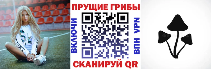 мега как войти  Ахтубинск  Псилоцибиновые грибы прущие грибы 